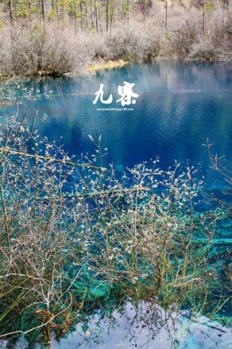 奔跑吧6