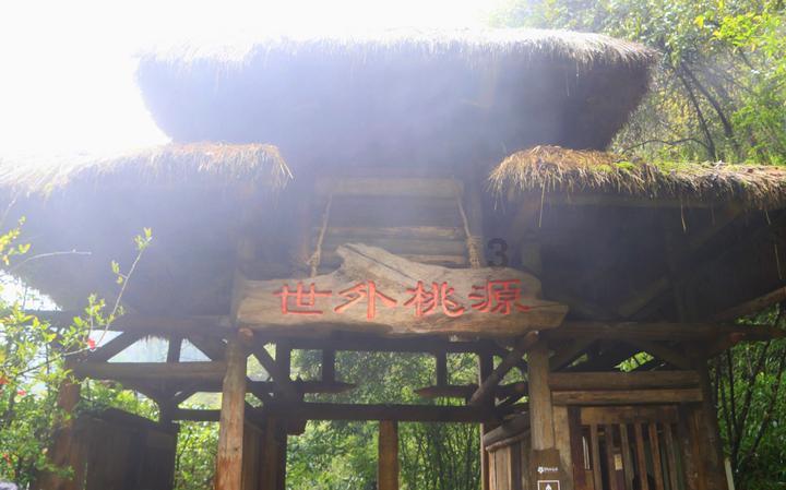 裙上繁花